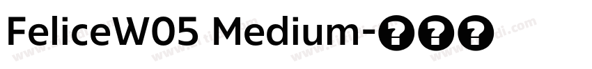 FeliceW05 Medium字体转换